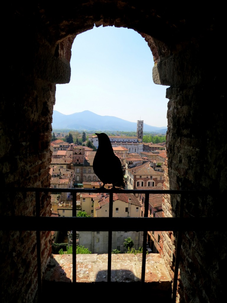 Guinigi Tower Lucca