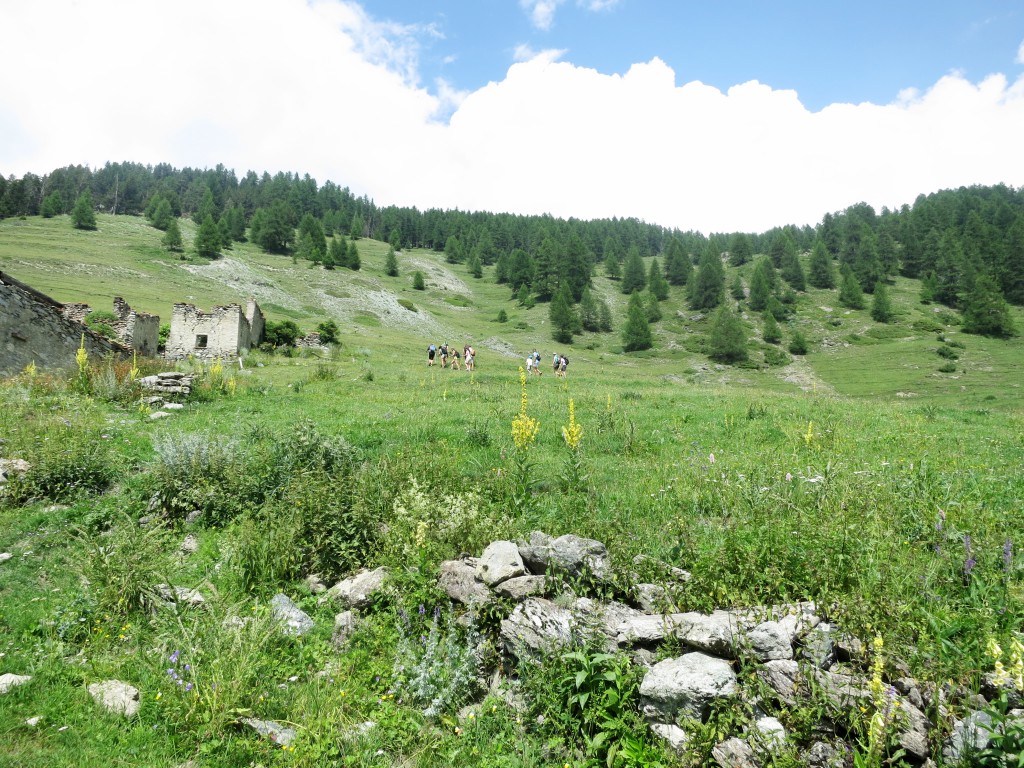 Hiking the Alps