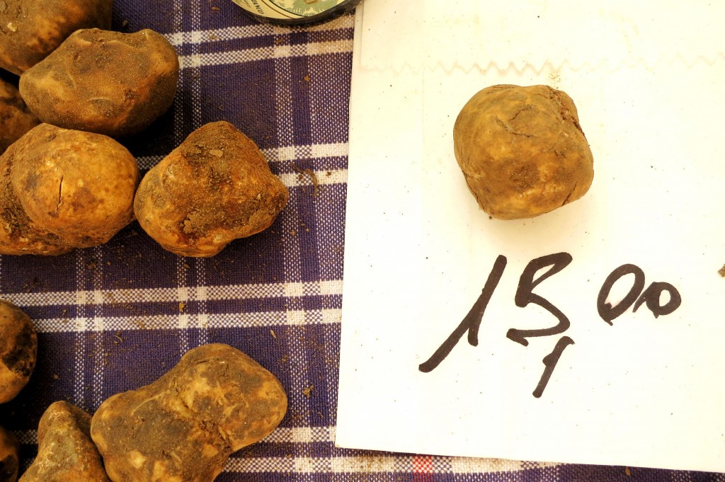buying truffles in Tuscany