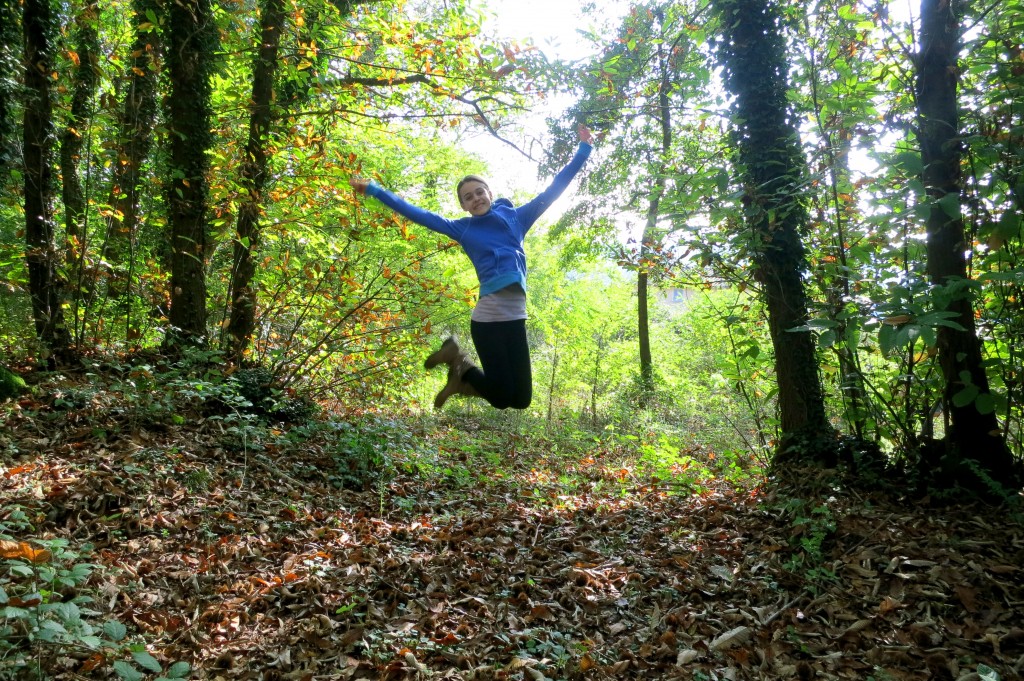 picking chestnuts calls for a jump shot 