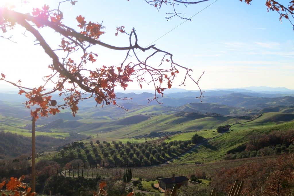 Hiking in Maremma