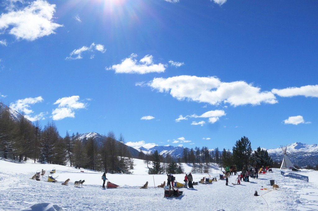 Dog Sledding in Italy