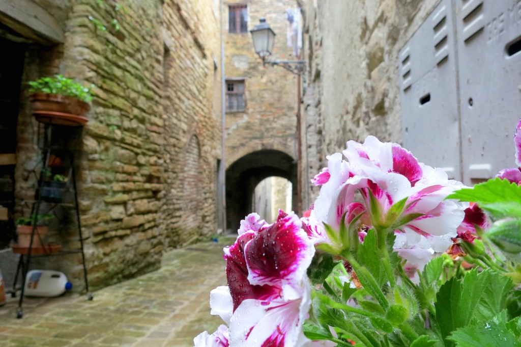 Streets of Serra San Quirico