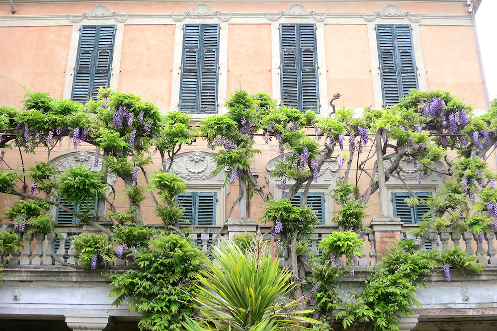 Villa Buonccorsi in Le Marche