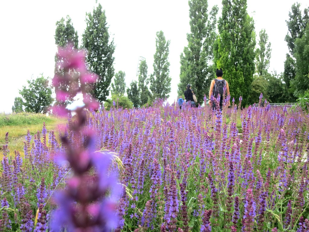 Mauer Park 