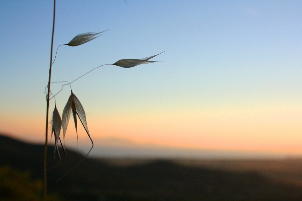 Scarlino Maremma Tuscany