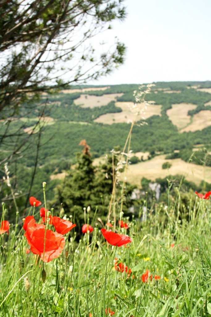 Road trip in Maremma