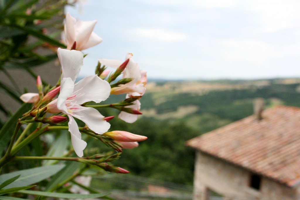 Rocchette di Fazio view over Maremma