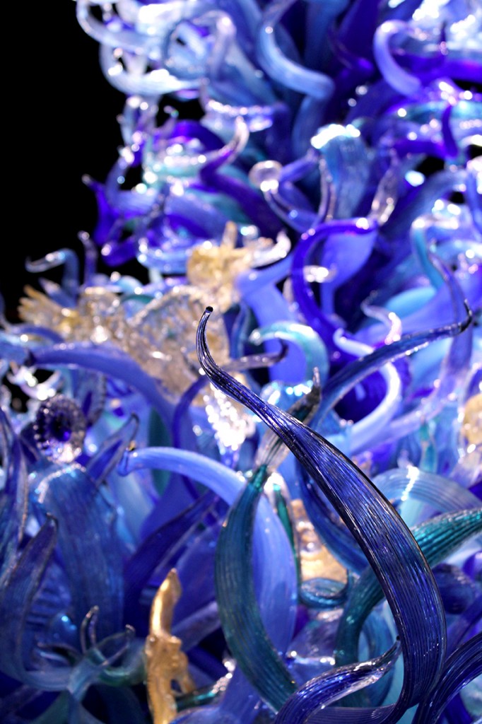 Sealife Vessel Chihuly in Seattle