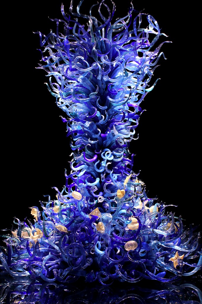 Sealife Vessel Chihuly in Seattle