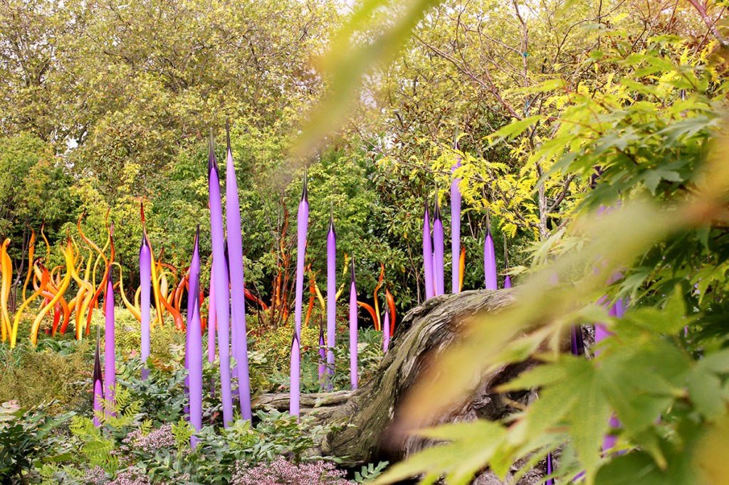 Chihuly in Seattle glass garden