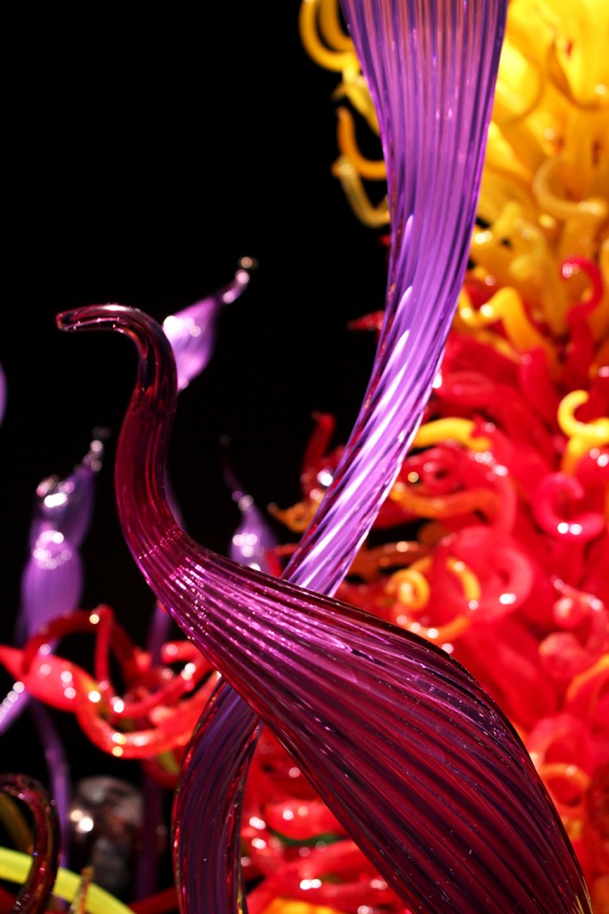 Mille Fiori Chihuly wonderland in Seattle