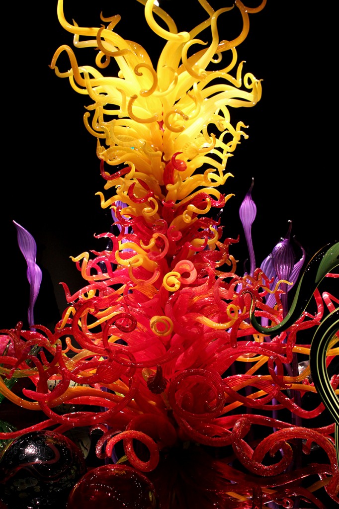 Mille Fiori Chihuly wonderland in Seattle