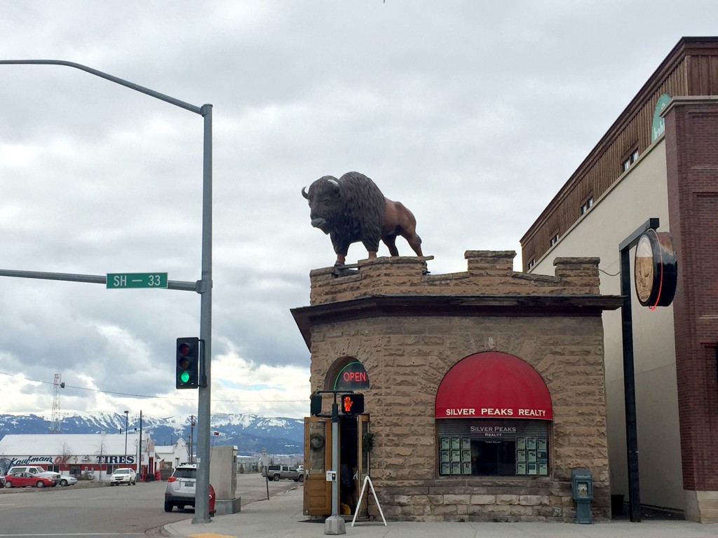 Shopping in Driggs Idaho