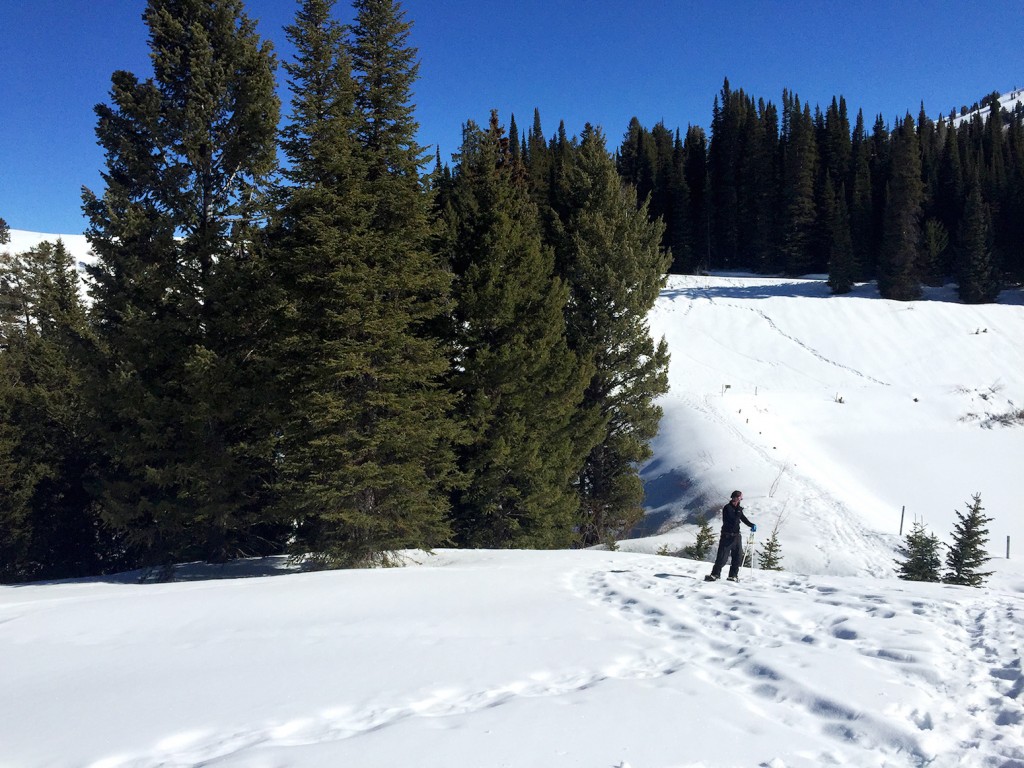 Snowshoeing in Targhee